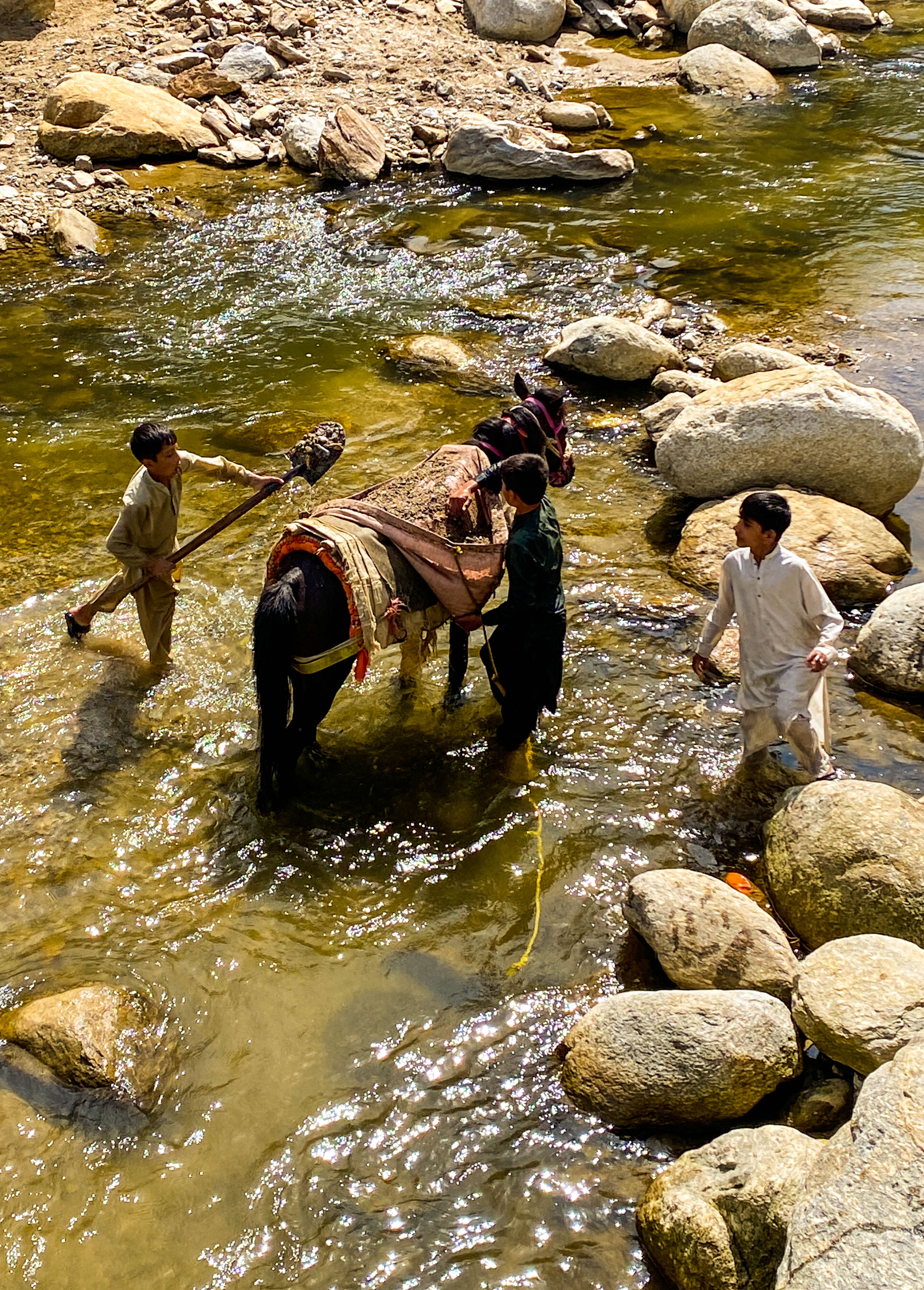 Boys guide a mule carrying gravel through a river in Swat Valley, Pakistan.