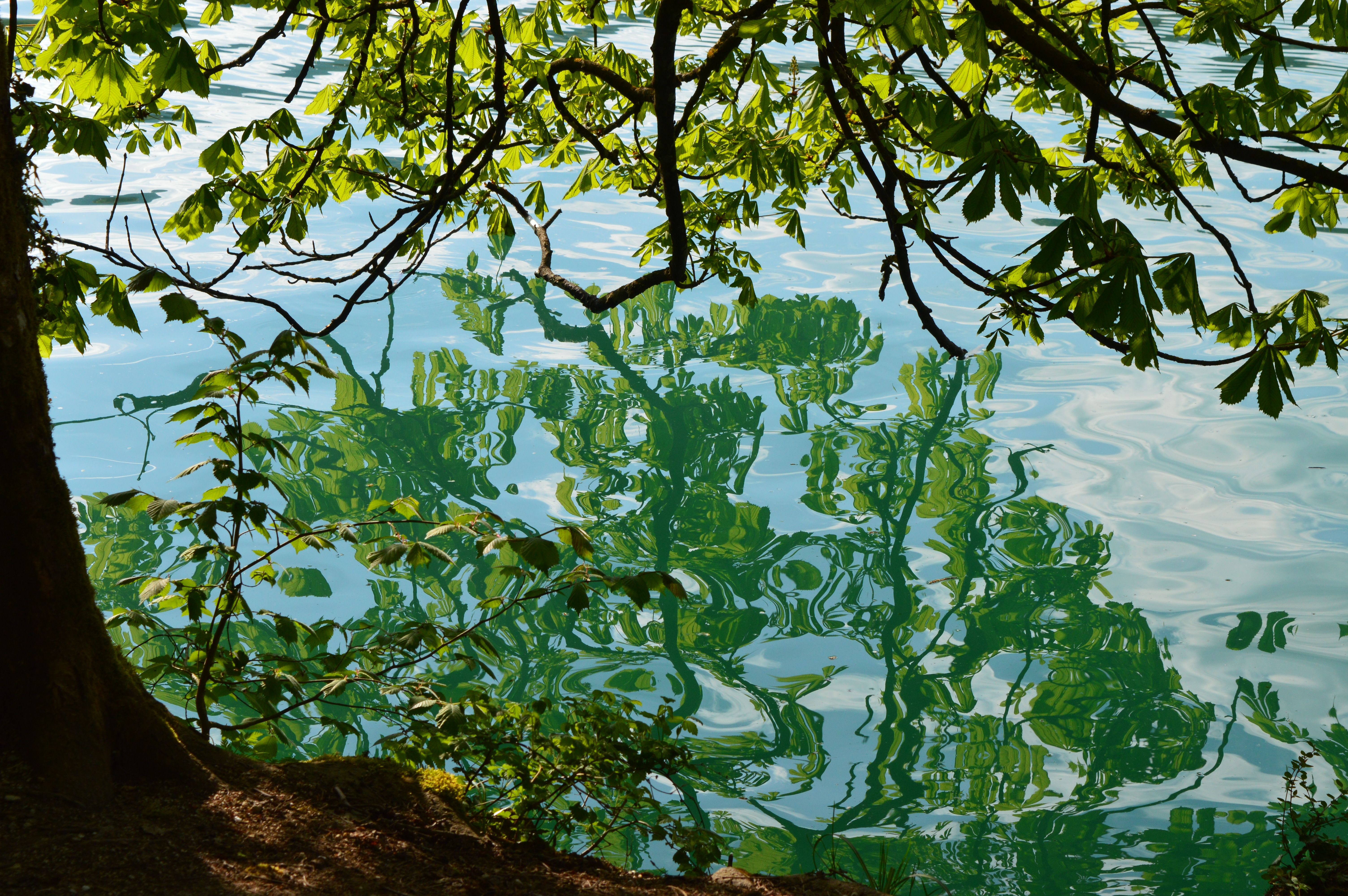 Lac Chazey-sur-Ain : Guide Visite & Activités