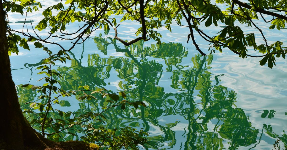 Lac Chazey-sur-Ain : Guide Visite & Activités