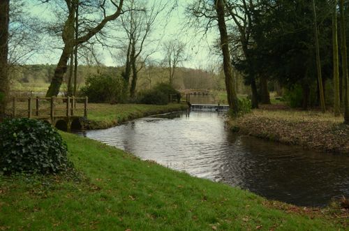Free Idyllic river scene with wooden bridge and lush greenery, perfect for nature lovers. Stock Photo