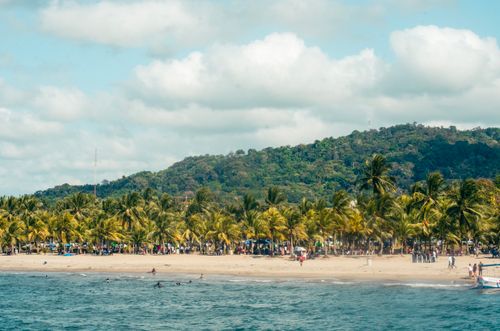 Free A vibrant tropical beach scene with palm trees and a lush hillside in the background. Stock Photo