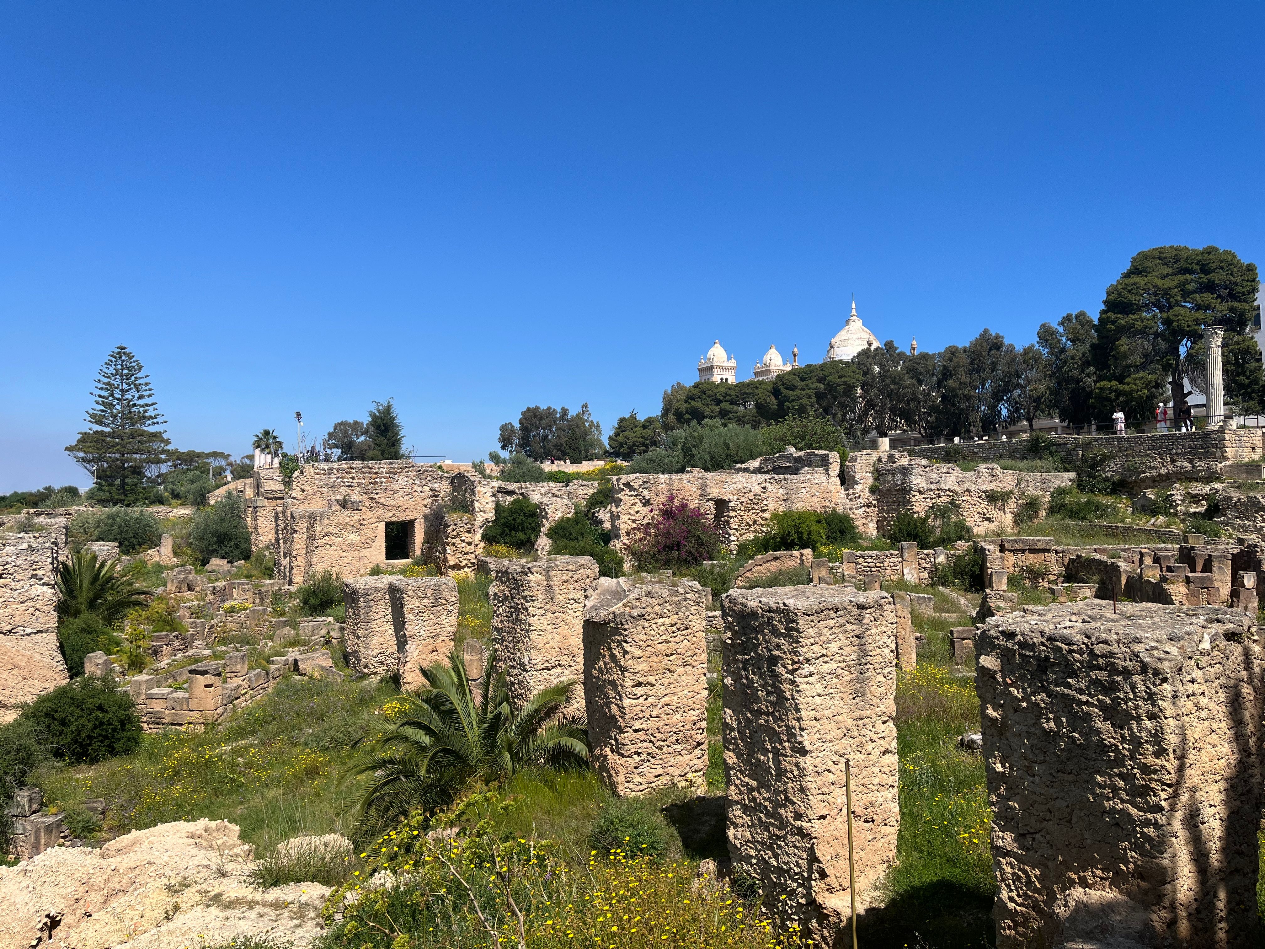 Tunis & Carthage