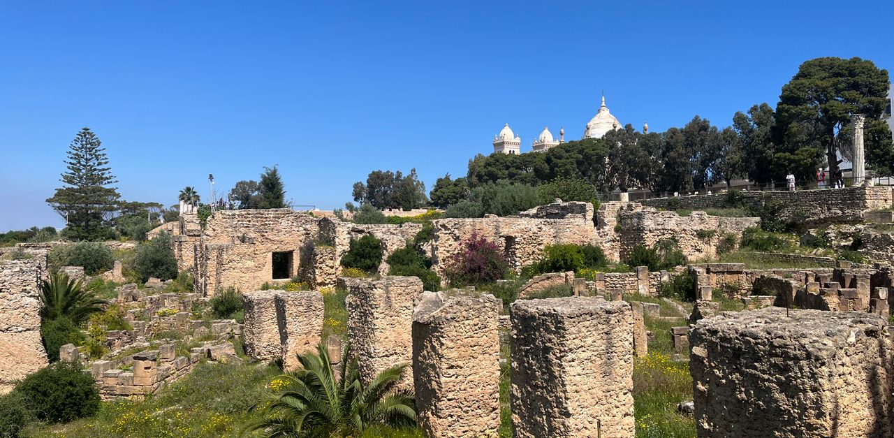 Tunisi
