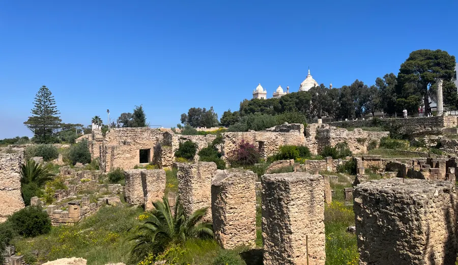 Tunis & Carthage