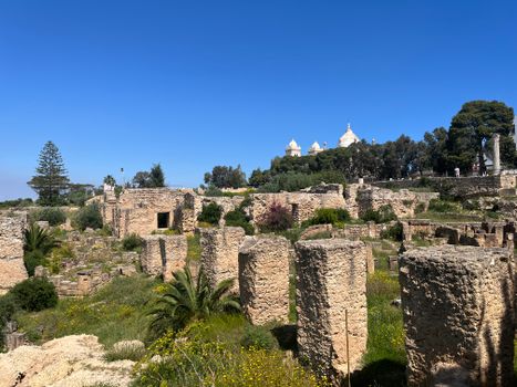 Carthage ancient ruins with archaeologist — Tunis
