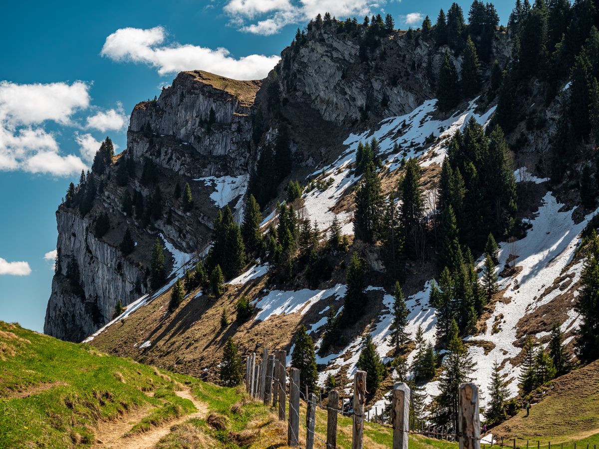 4 Day Inner Evolution Master Plants Retreat in Switzerland 1