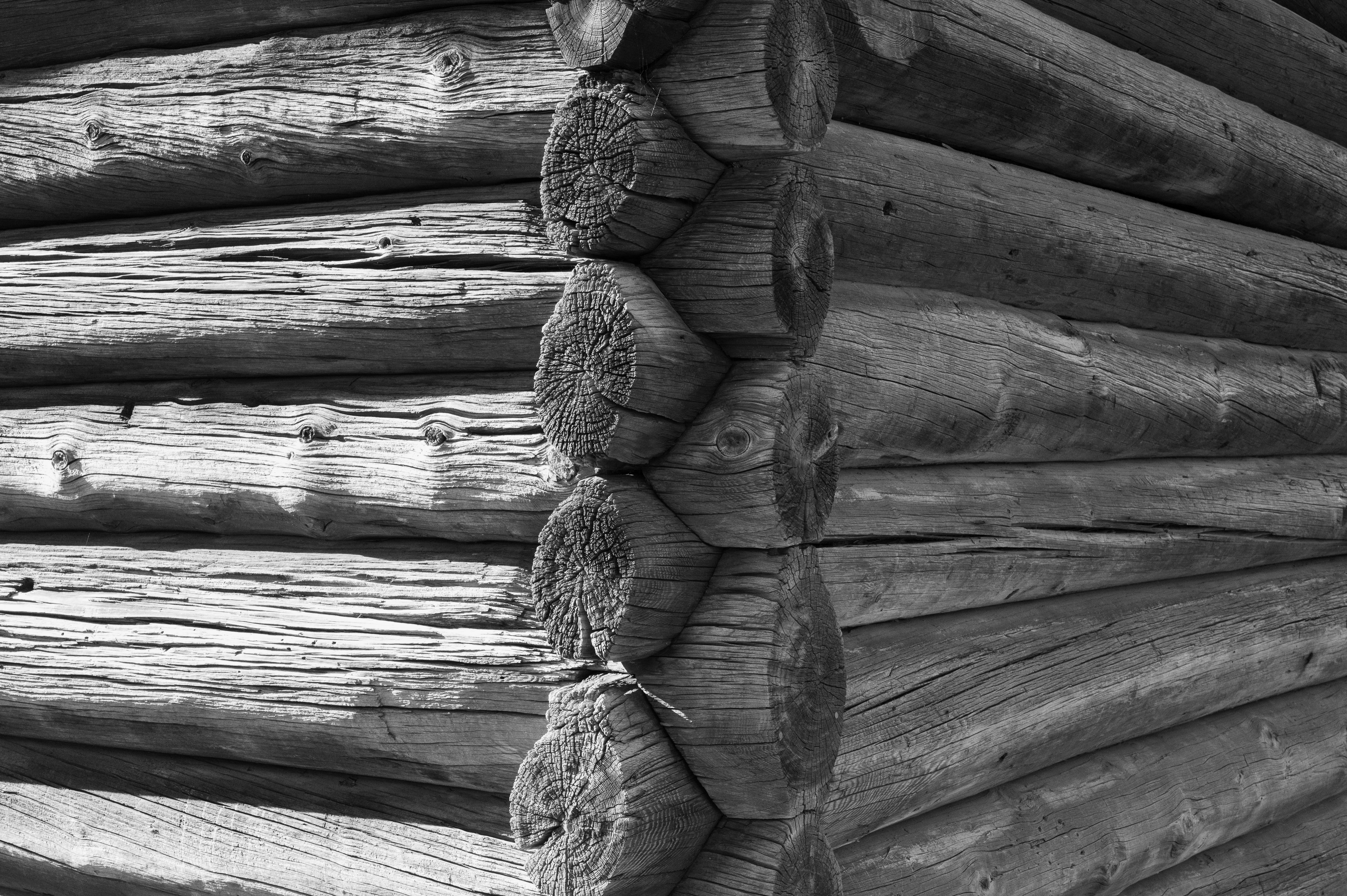 realistic log cabin corner joinery and chinking