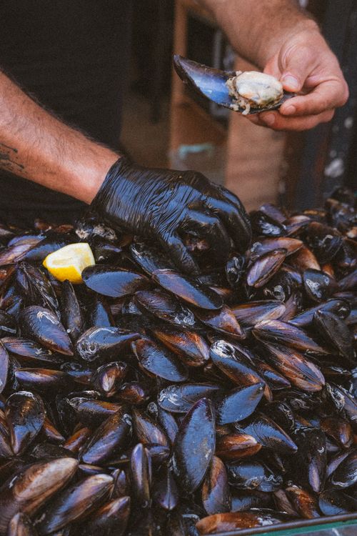 Free Gloved hands preparing fresh mussels with lemon in Izmir, Türkiye. Stock Photo