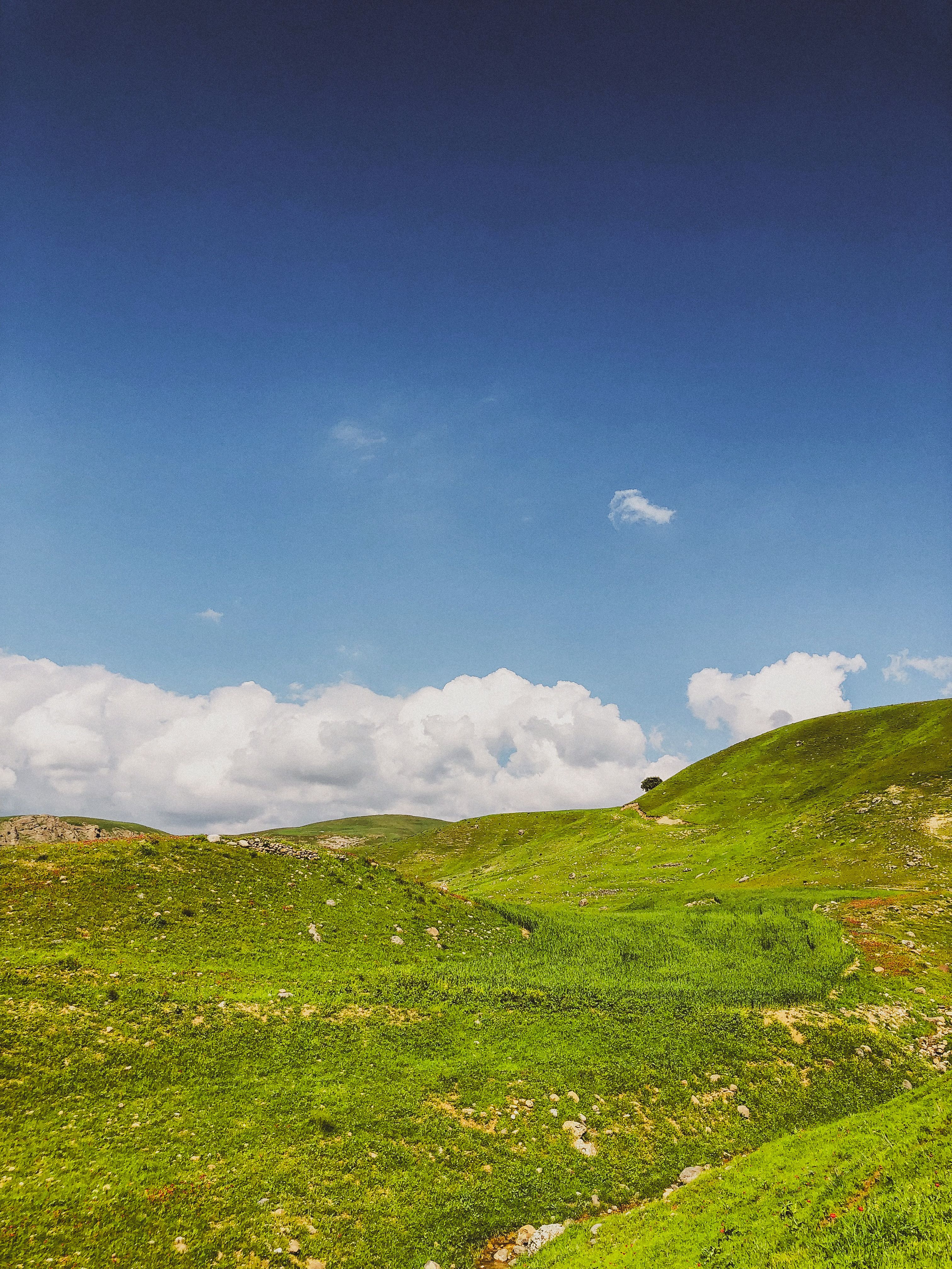 Scenic Green Hills Under a Clear Blue Sky · Free Stock Photo