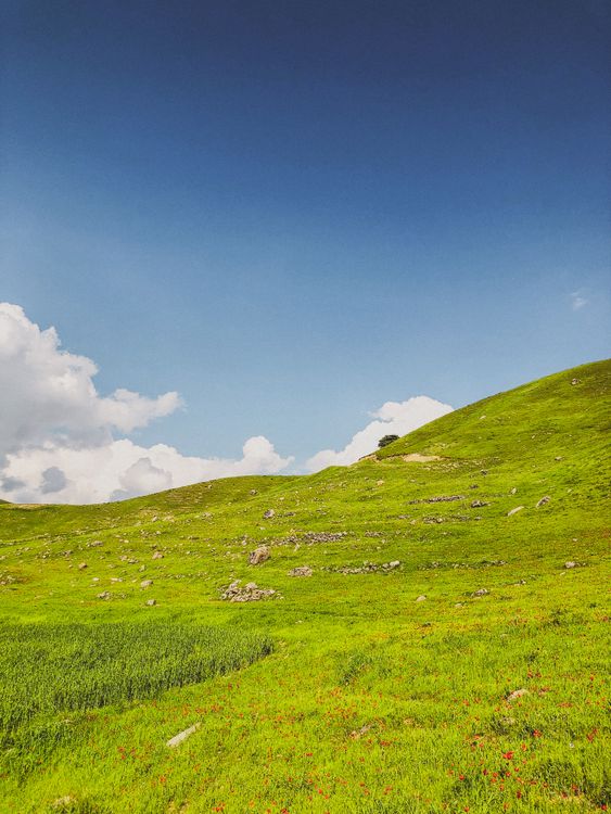 Lush Green Hills Under Clear Blue Sky · Free Stock Photo