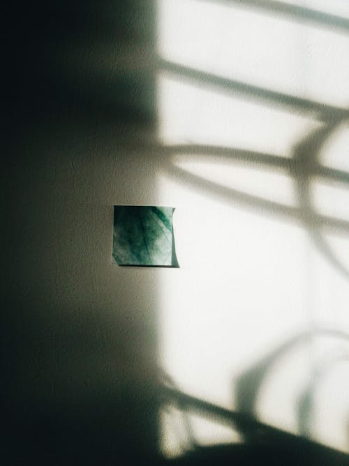 Green Paper and Shadows on White Wall