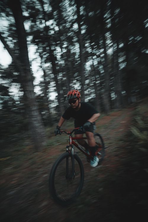 Free Mountain biker in motion on forest trail with blurred trees, showcasing outdoor adventure and speed. Stock Photo