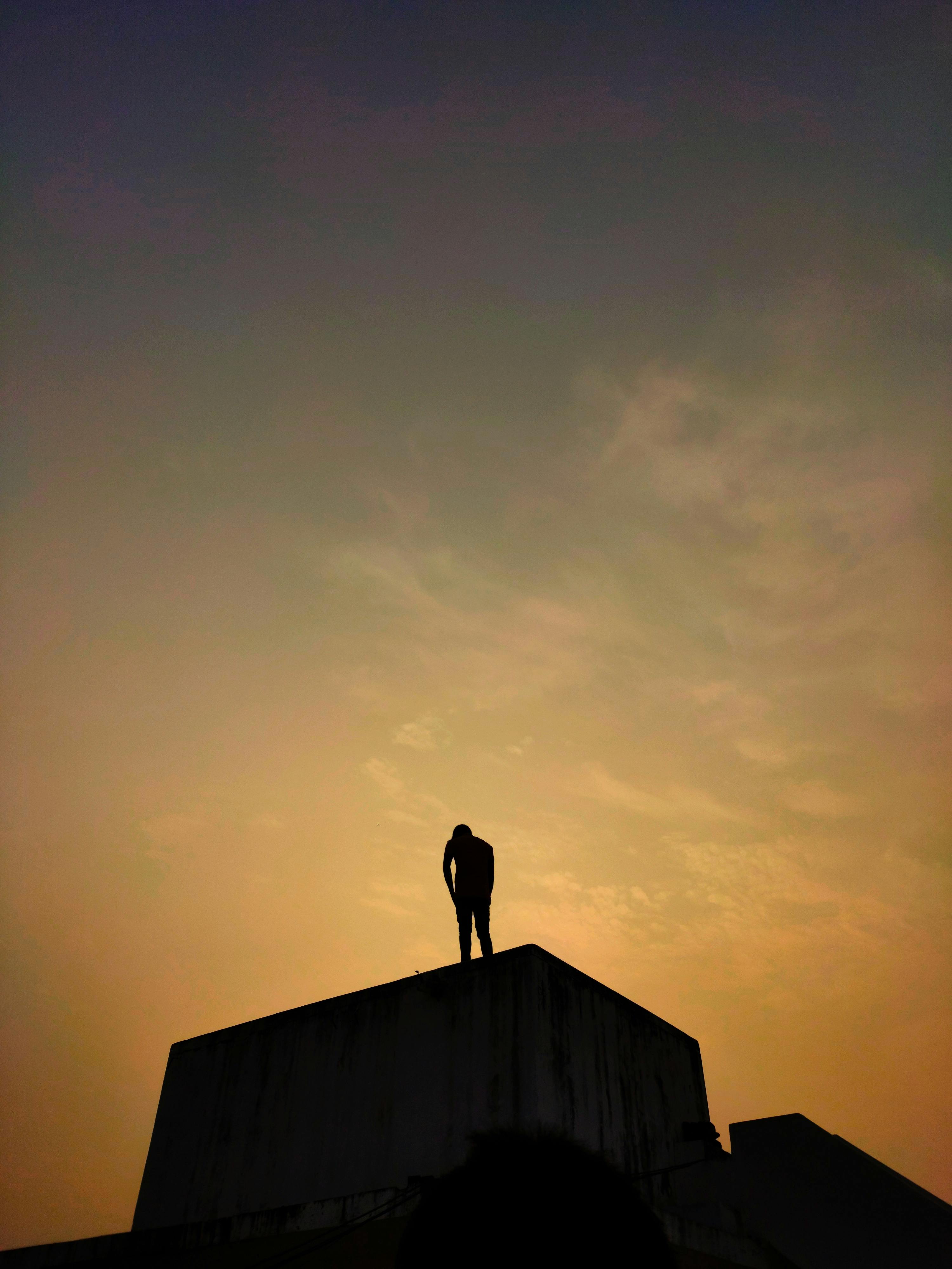 Winter Travel with Pets: Cold Weather Safety Tips