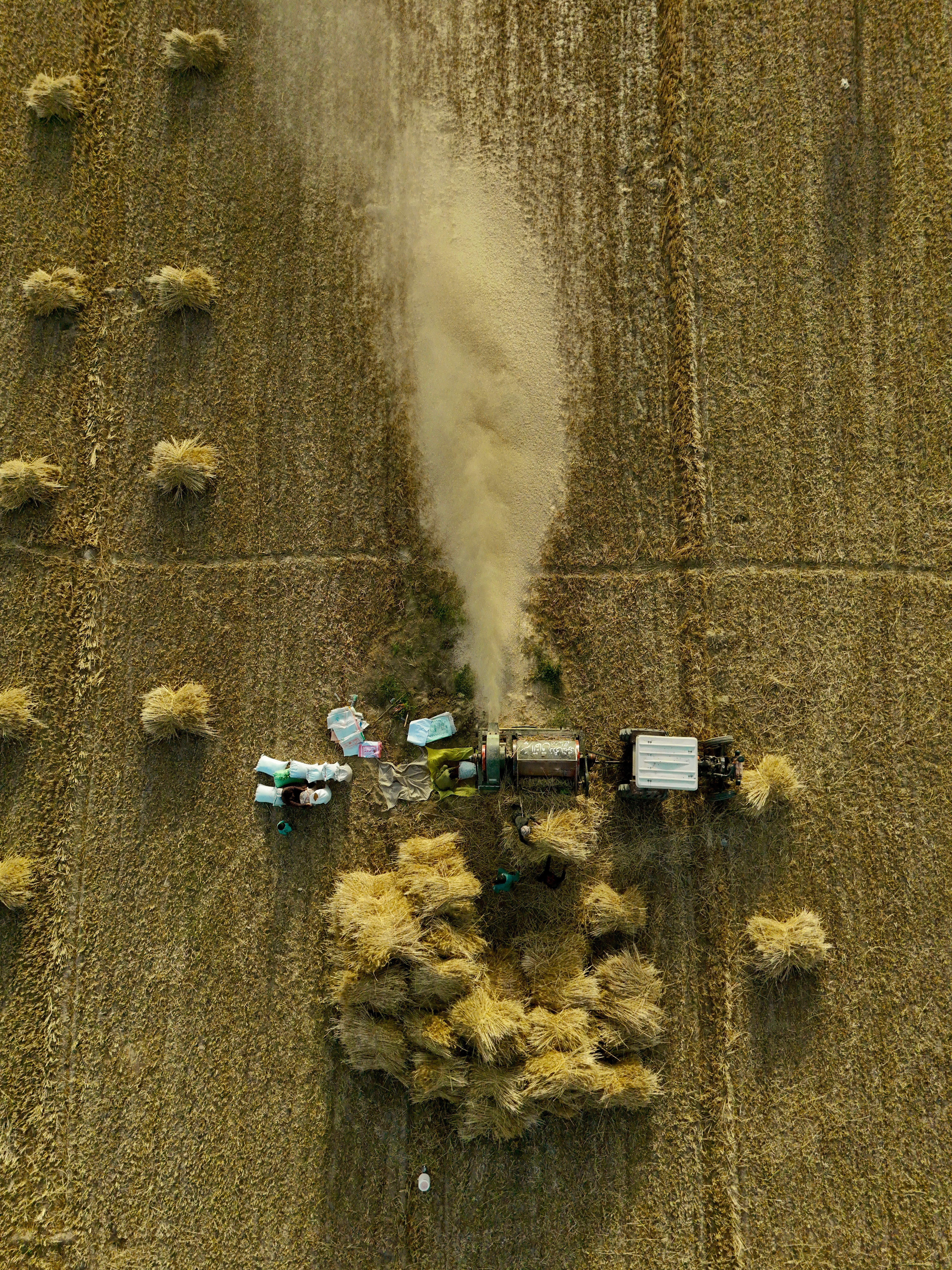 Harvest