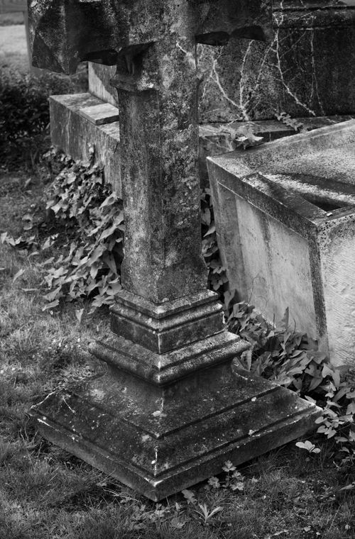 Free A black and white photo of an old stone cross in an overgrown cemetery, showcasing age and decay. Stock Photo