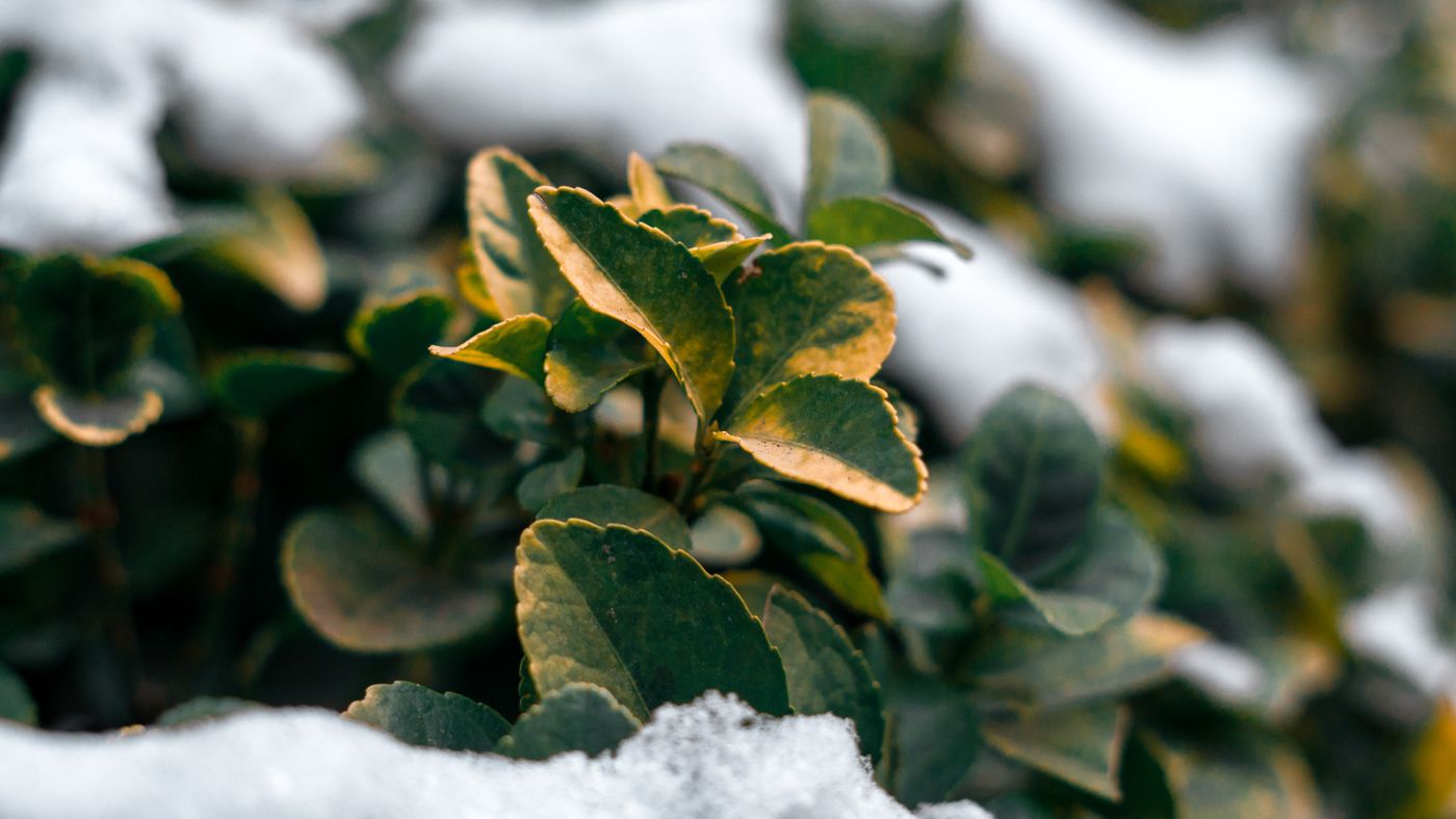What Winterizing Means Across Every System That Matters