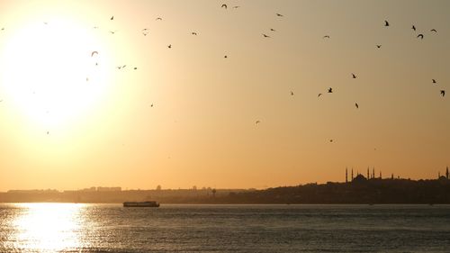Free Peaceful sunset over the Bosphorus in Istanbul with silhouette of skyline and flying birds. Stock Photo