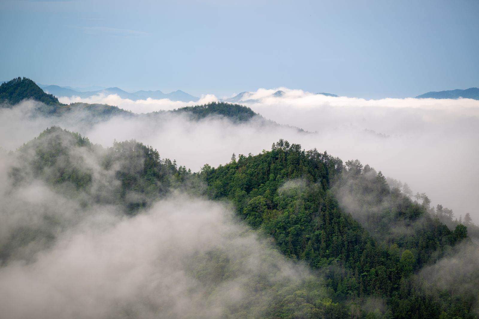 Low cloud drifting over forested ridgelines — photo by 幼聪 戴 on Pexels
