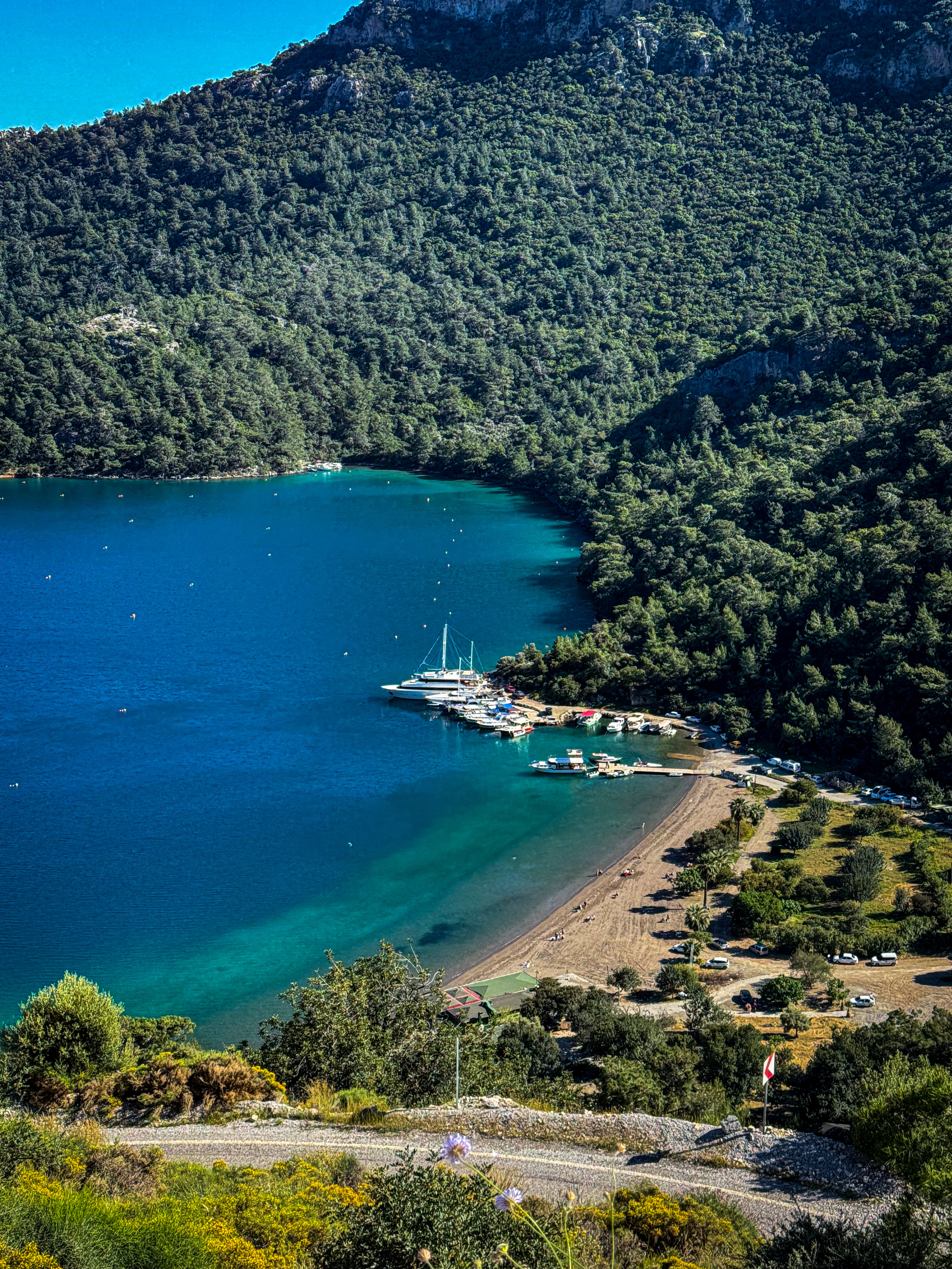 grátis Vista aérea da pitoresca praia e costa de Dalyan em Muğla, Turquia, com águas cristalinas e vegetação exuberante. Foto profissional