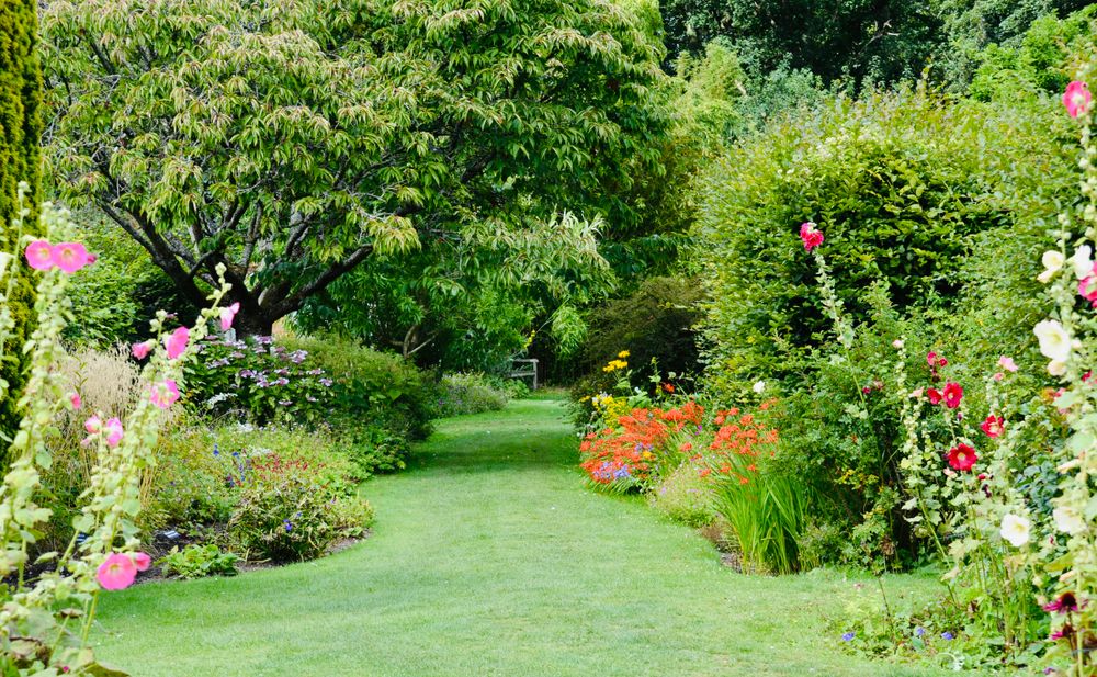 A lawn path between deep flower borders