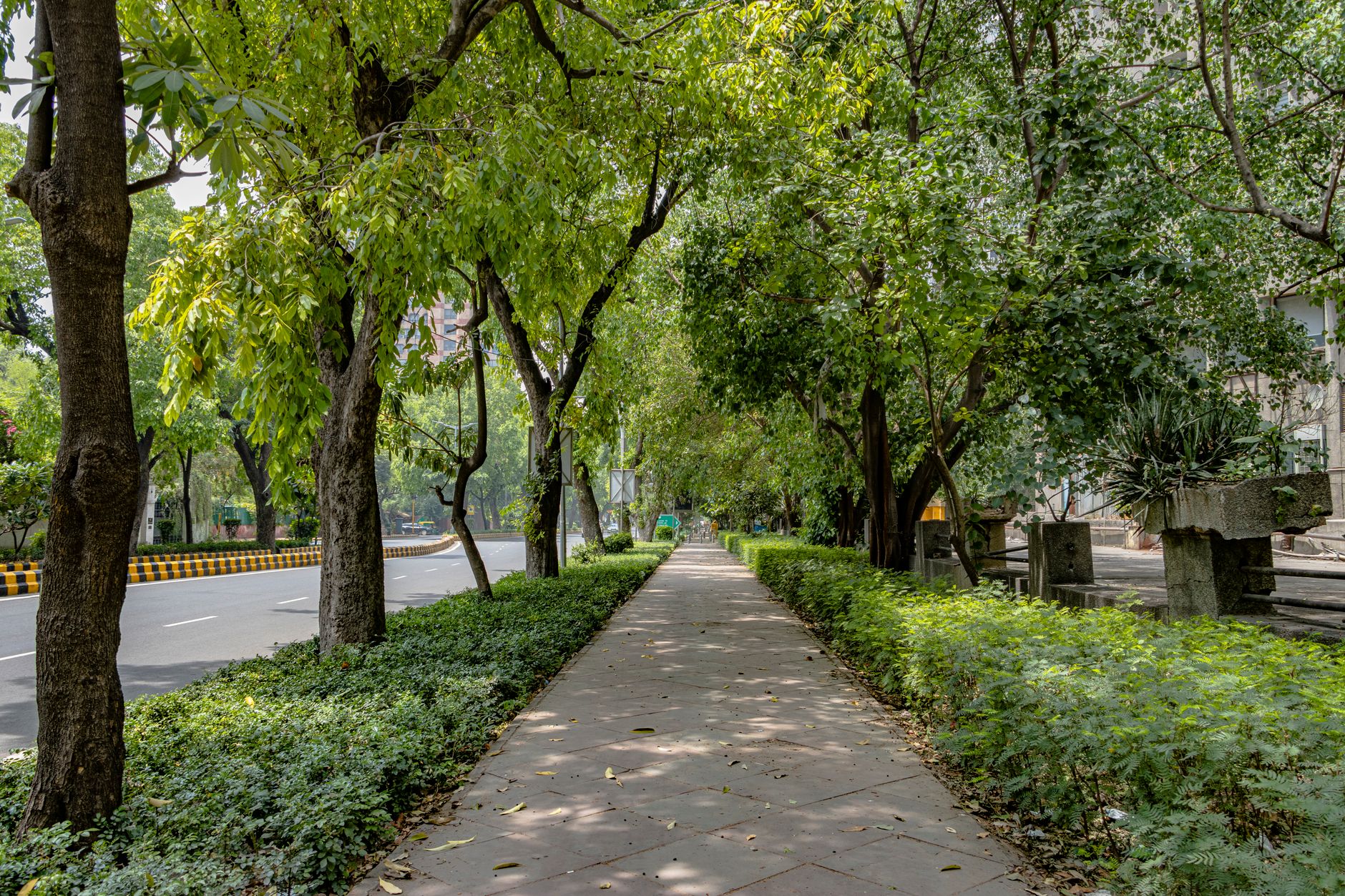 The 6 best walks in Gurugram, ranked