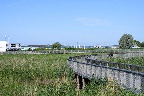 Free Explore the serene boardwalk in Pärnu, Estonia with lush greenery and seaside views. Stock Photo