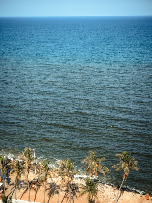 Free Stunning aerial view of Puducherry beach with palm trees and clear blue waters under a sunny sky. Stock Photo