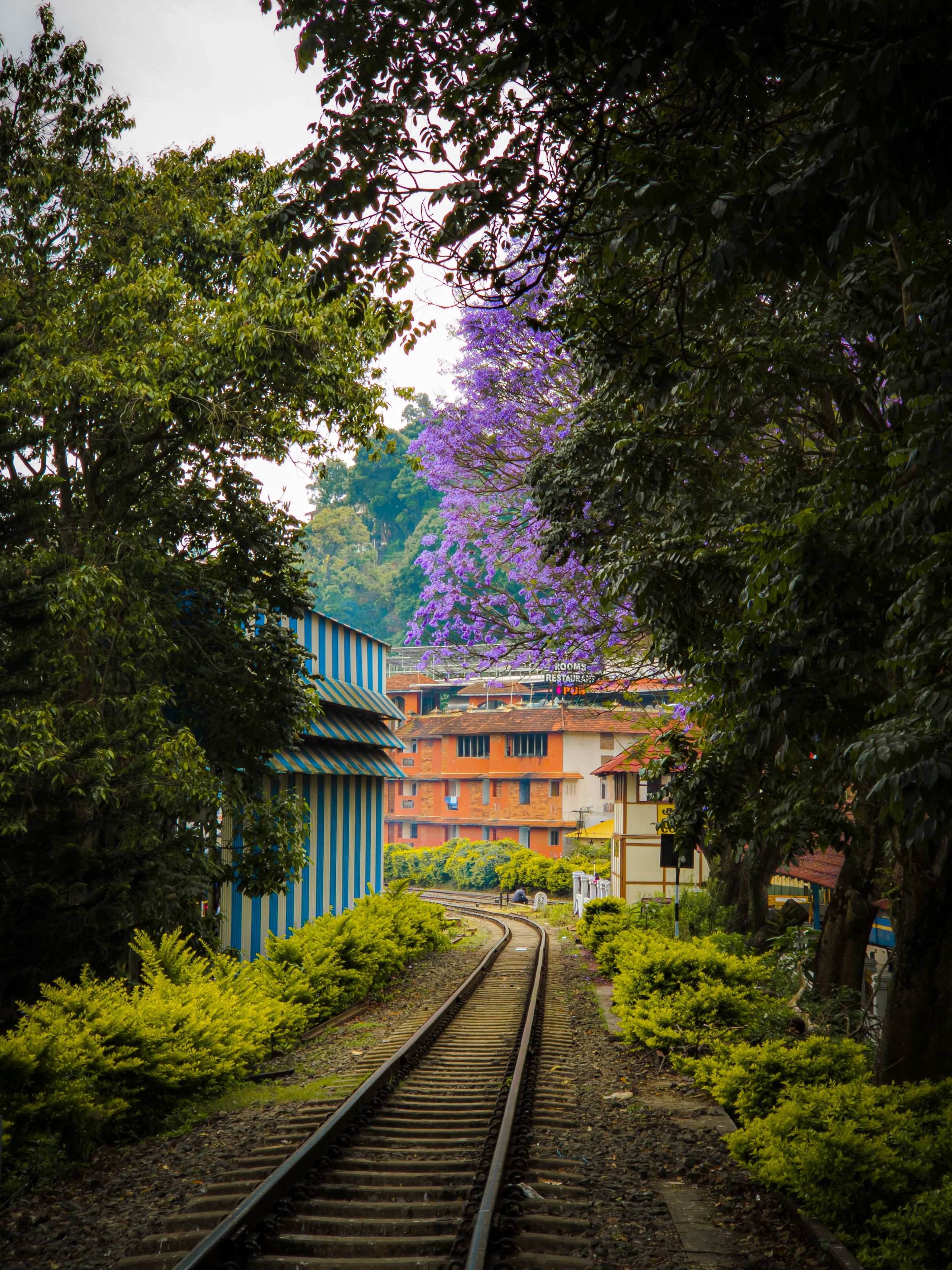 Idyllic view of a railway track framed by greenery and vibrant buildings in Coonoor, India.