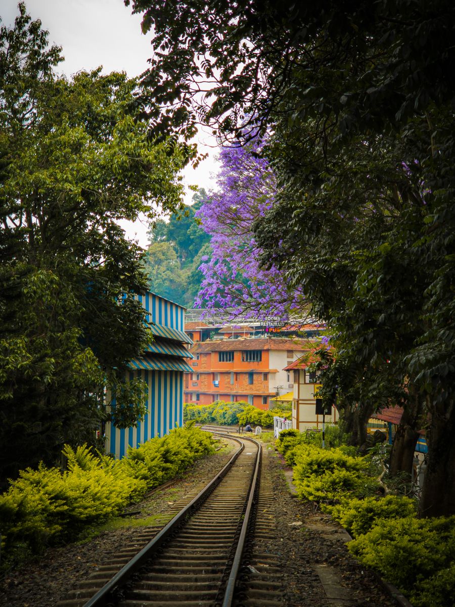 Coonoor photo 3