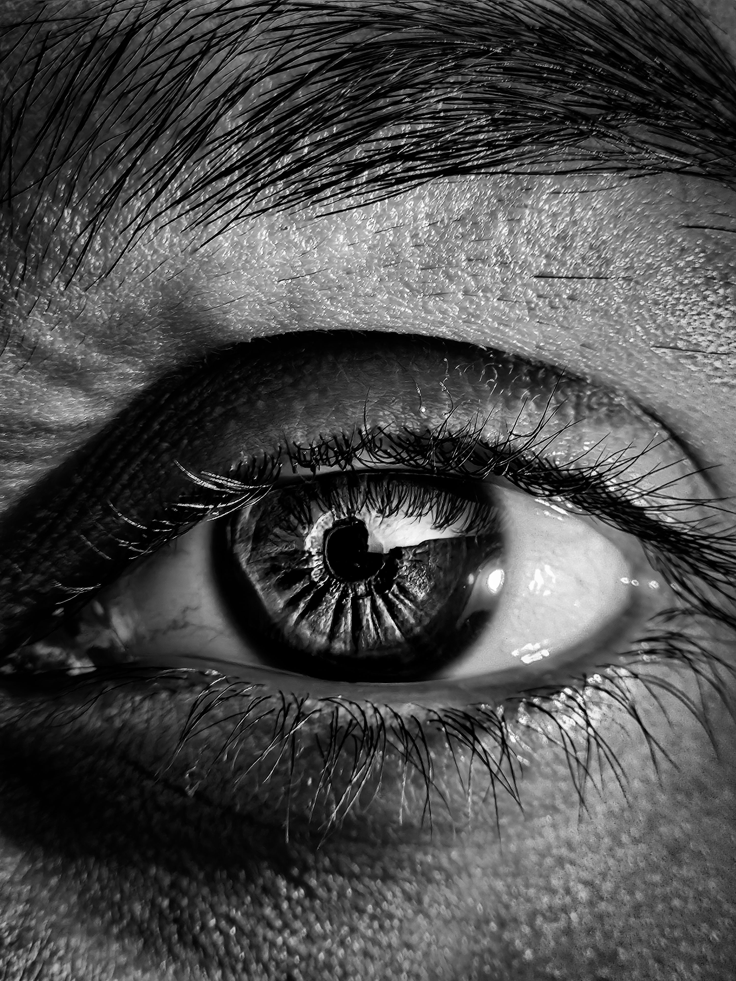 close-up-of-human-eye-in-black-and-white-free-stock-photo