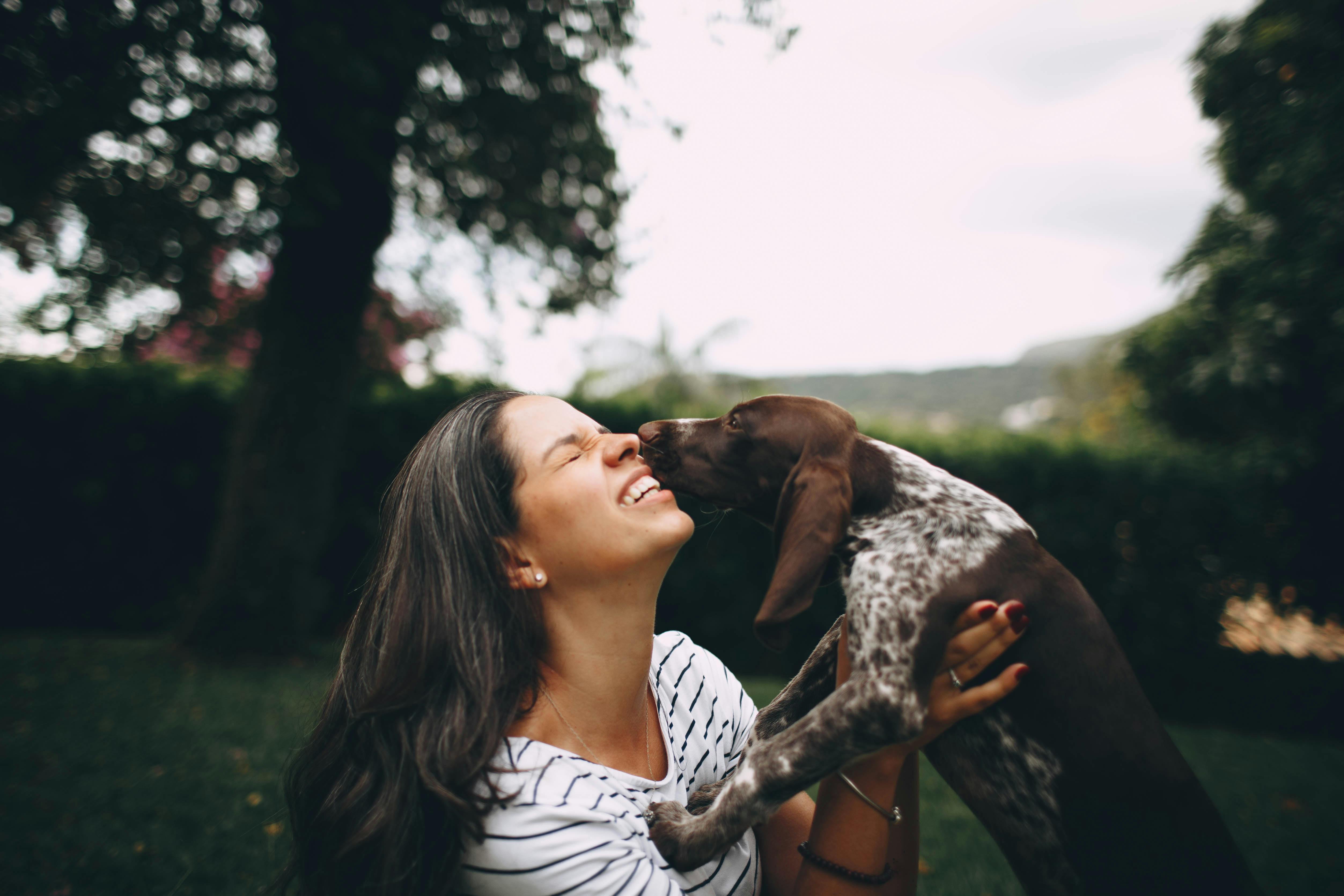 pet care, pet health, pet safety, pet grooming — Photo by Helena Lopes on Pexels