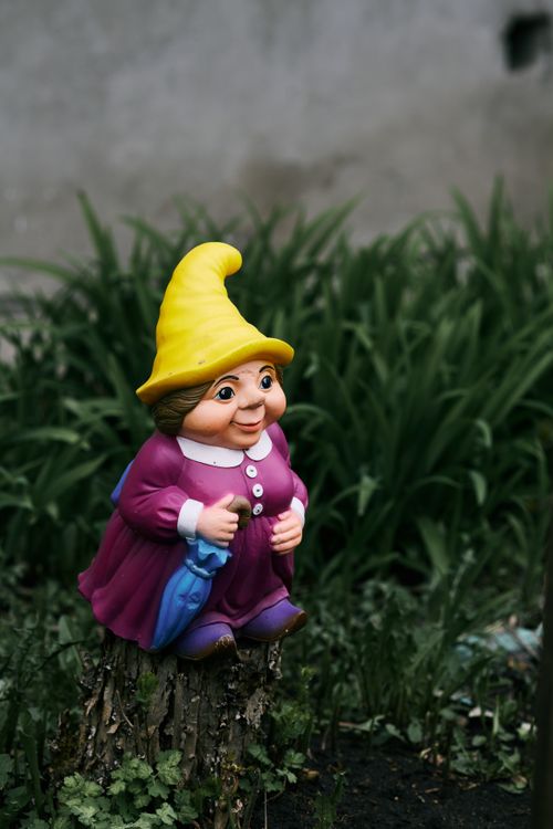 Free Whimsical garden gnome in vibrant attire sits among lush plants outdoors. Stock Photo