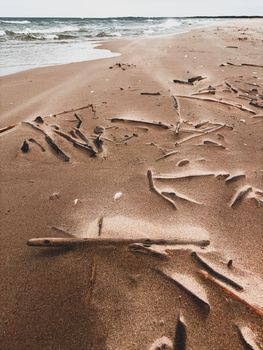 Tranquil sandy beach with driftwood scattered and gentle ocean waves in the distance.