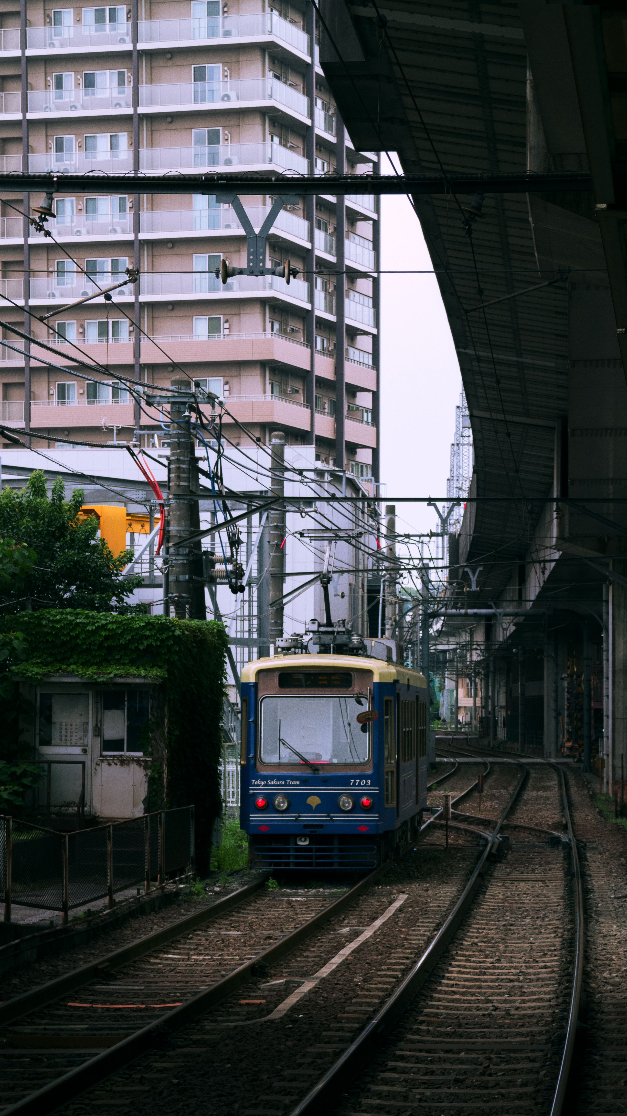 Vintage Blue Tram on Tokyo's Arakawa Line · Free Stock Photo
