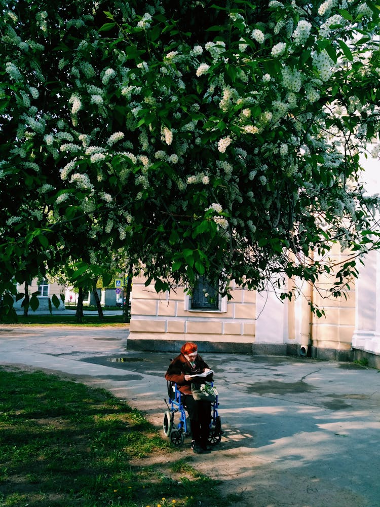 Old Woman On A Wheelchair Reading A Book