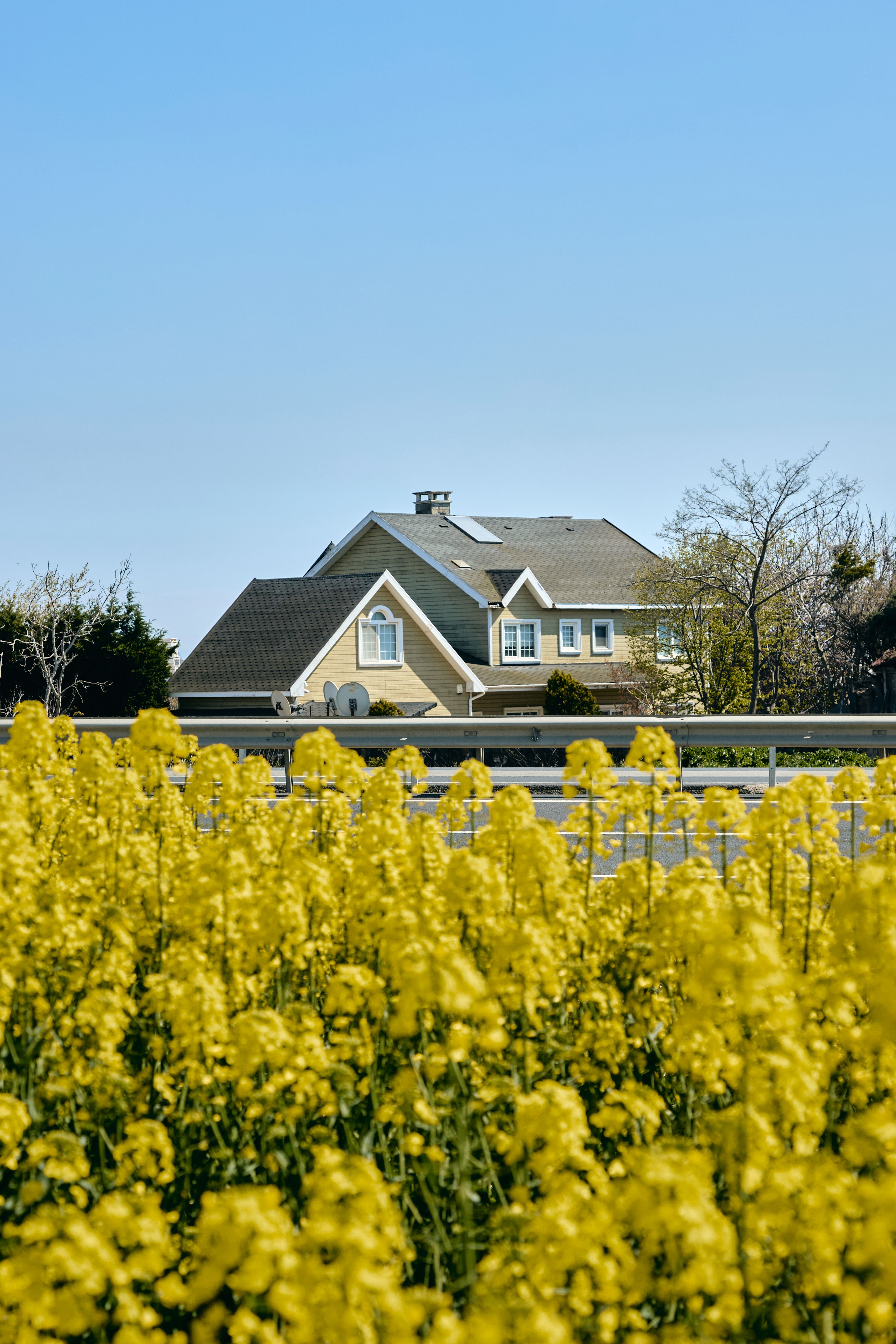 A View of a House from a Field of Flowers · Free Stock Photo