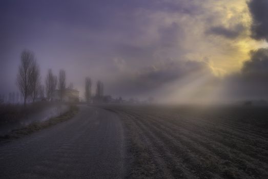 Foggy sunrise over a rural landscape in Jesolo, Veneto, Italy, capturing a serene agricultural scene.