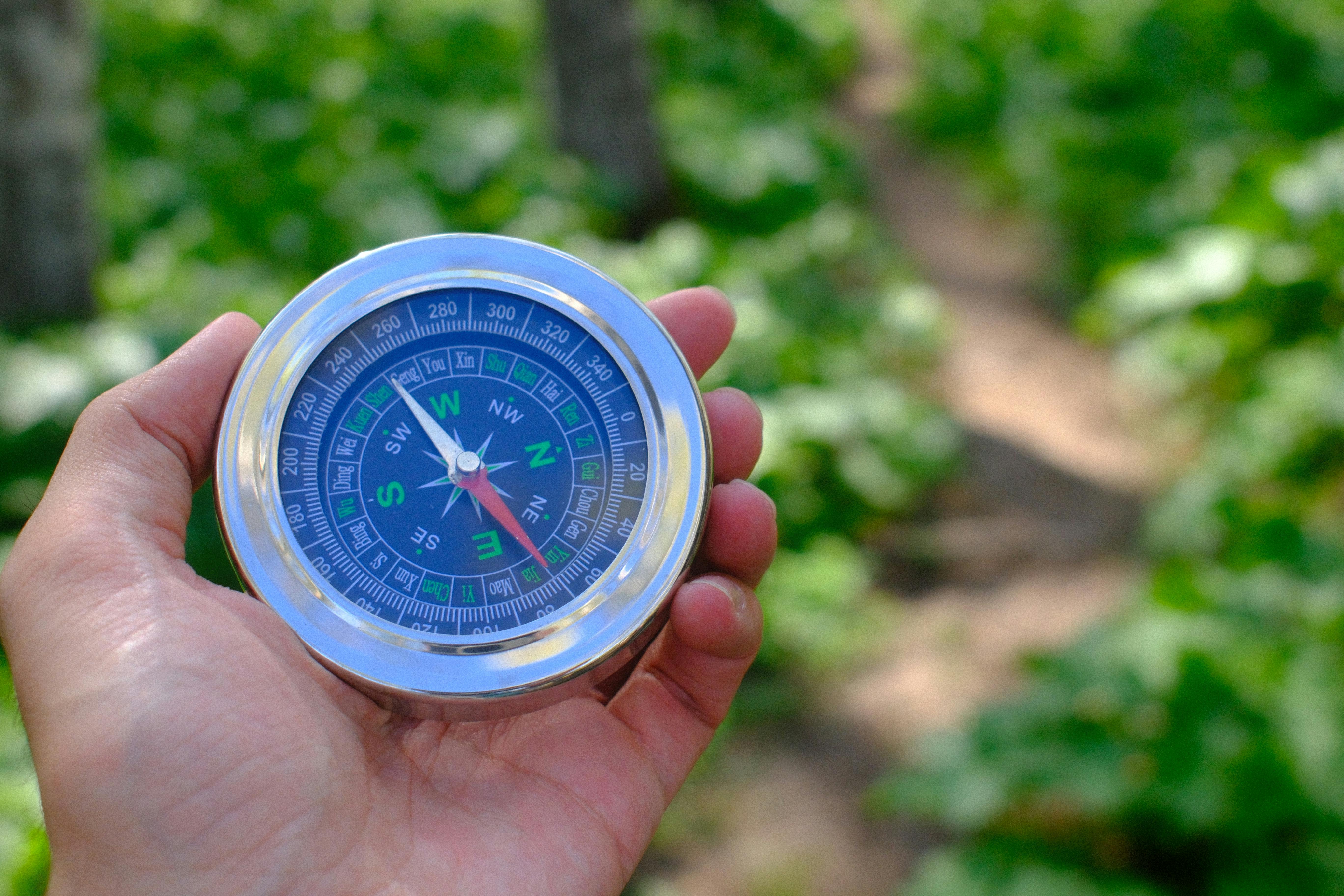 Navigating Gen Z’s obsession with specialty diets and tracking their eating habits - FoodNavigator — Photo by Steppe Walker o