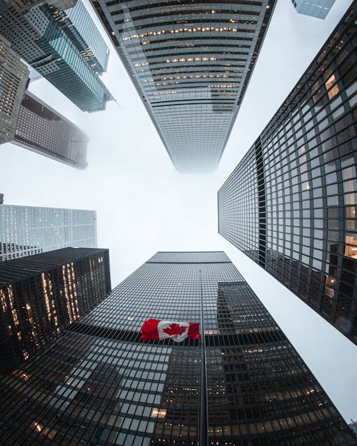 Low Angle Photography Of High Rise Buildings