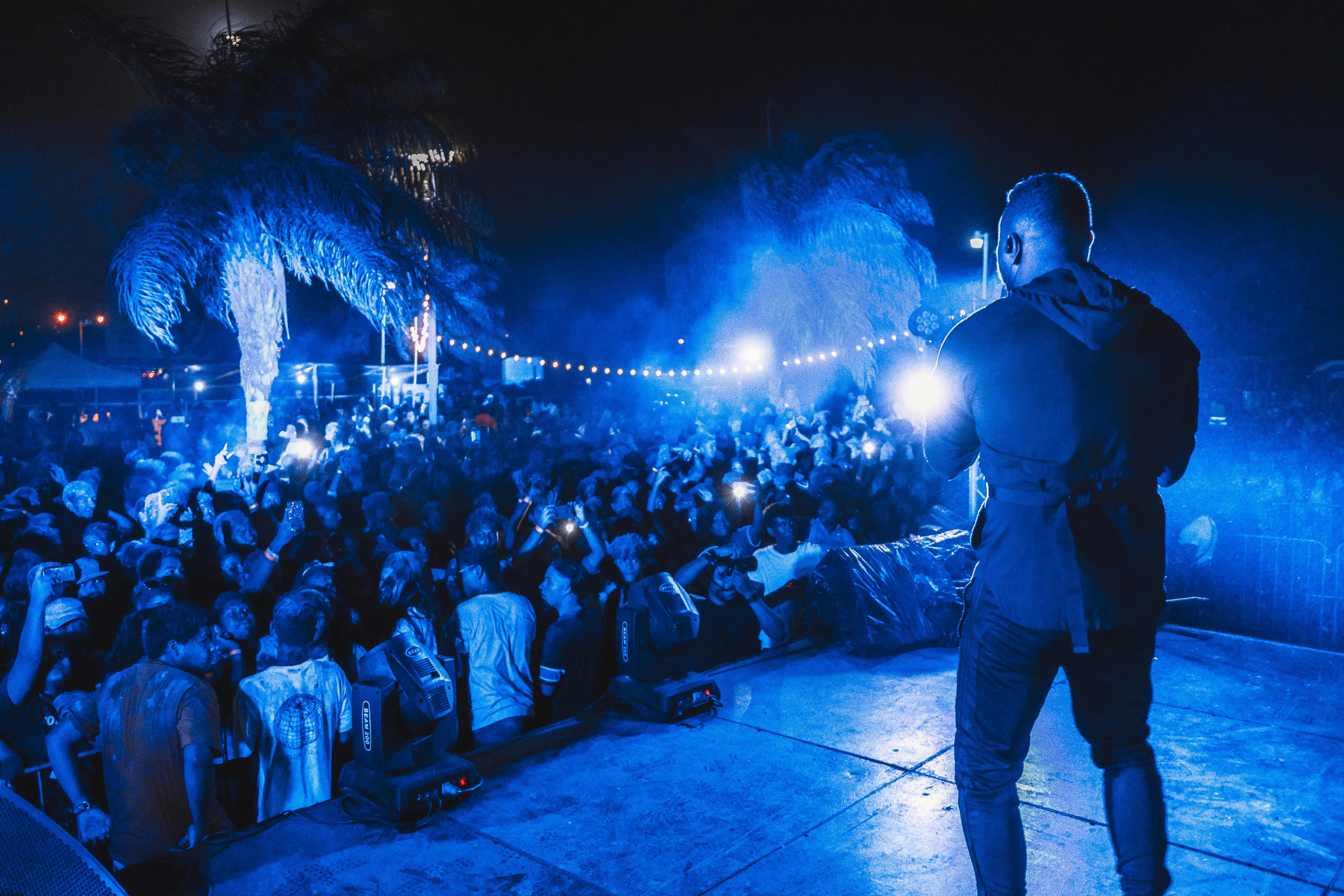 artist in front of crowd during concert