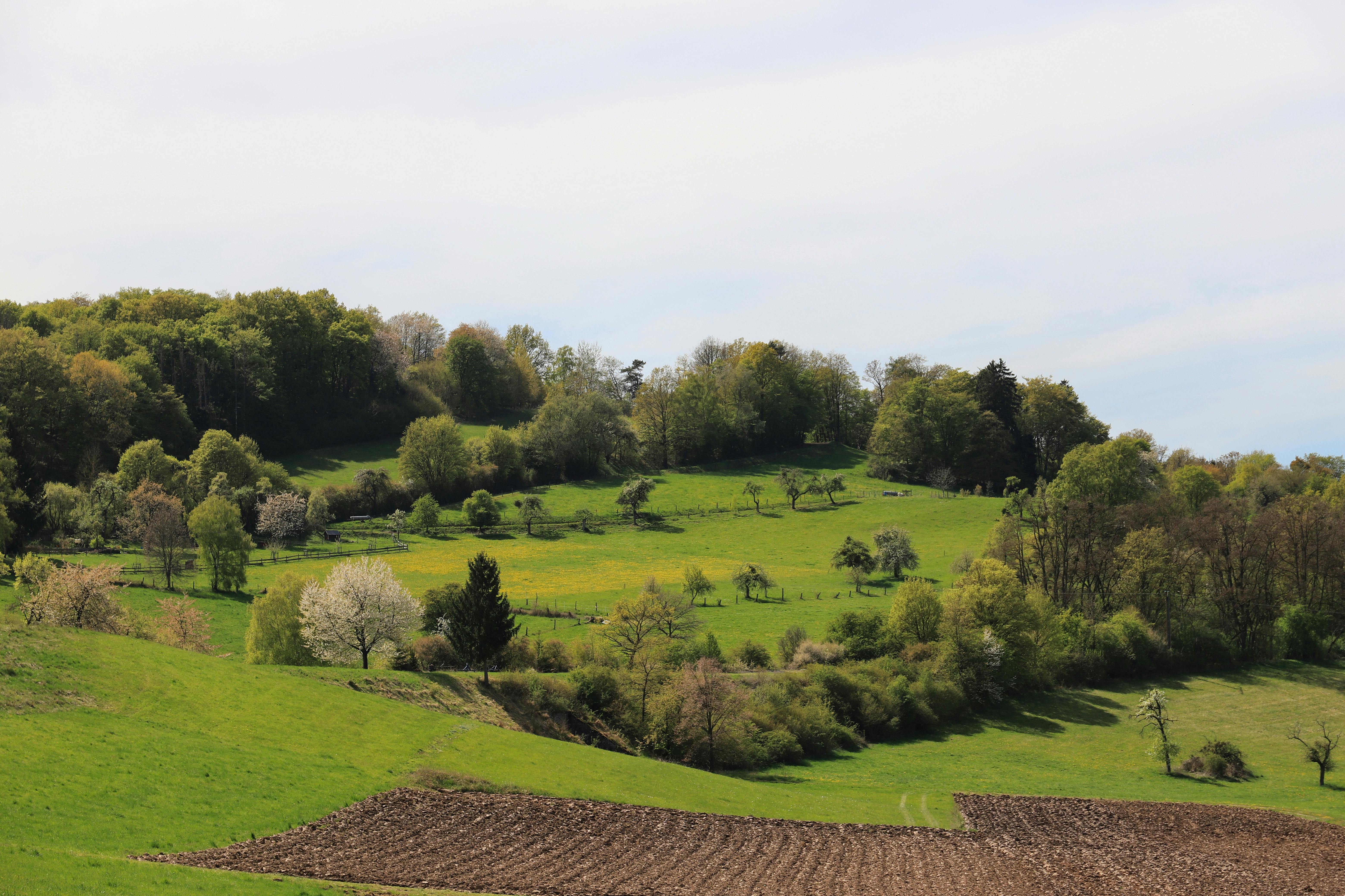 Nice Hidden Gems — 10 Places Most Tourists Miss