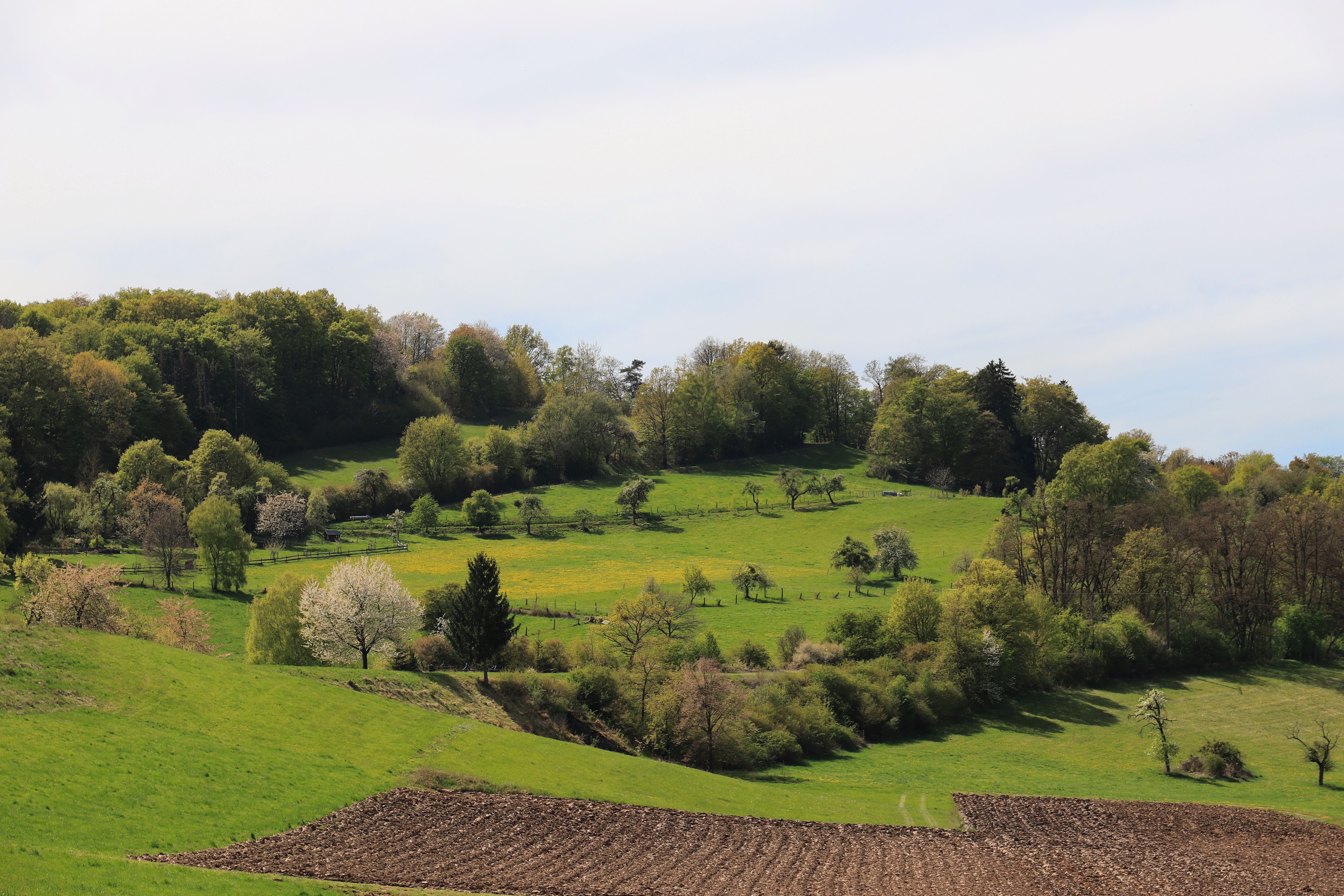Lush Green Spring Landscape with Rolling Hills · Free Stock Photo