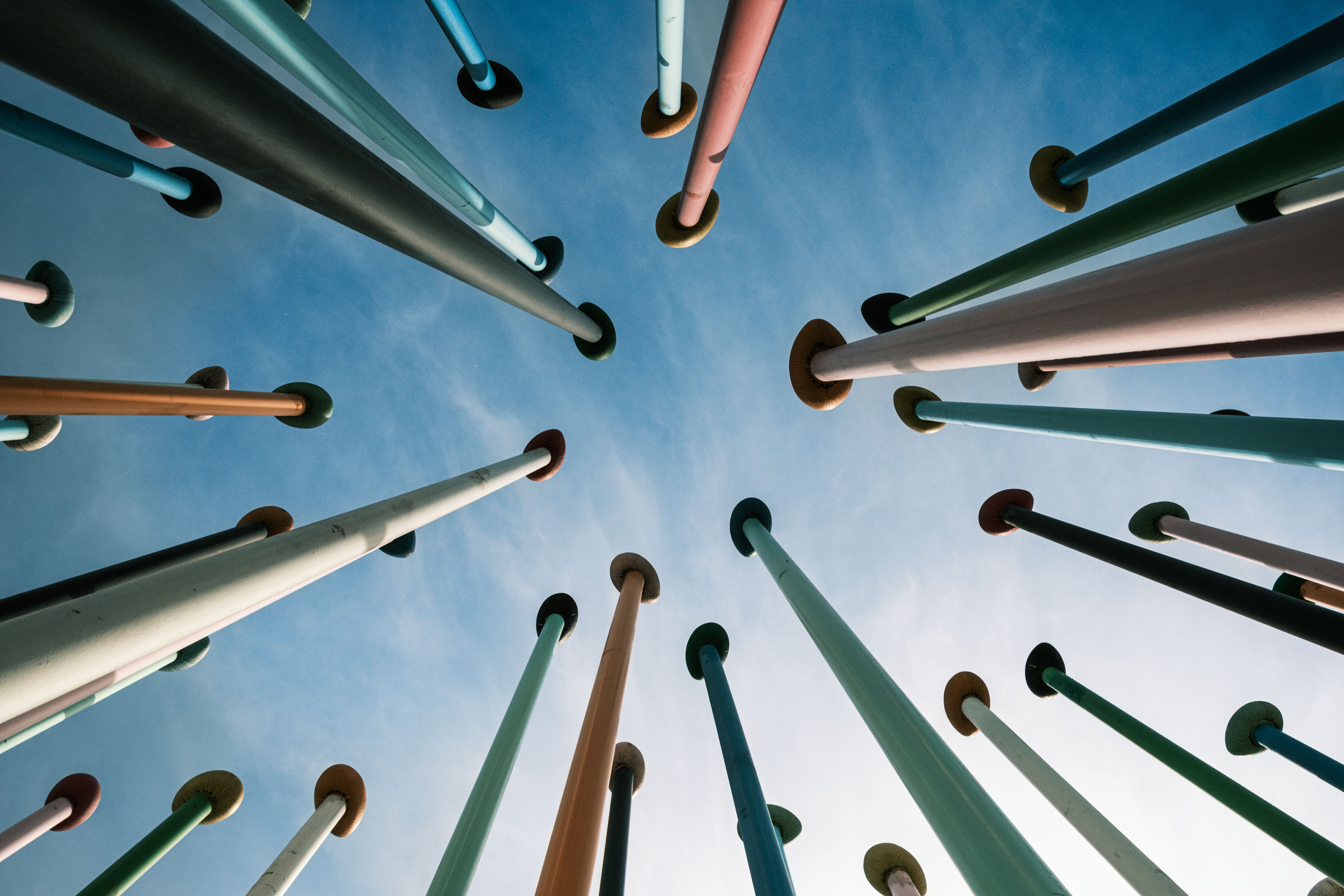 Deploying vLLM Semantic Router on AMD Developer Cloud — Photo by Paolo Bici on Pexels
