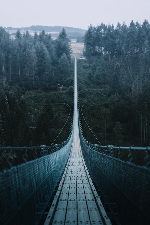 Hanging Bridge