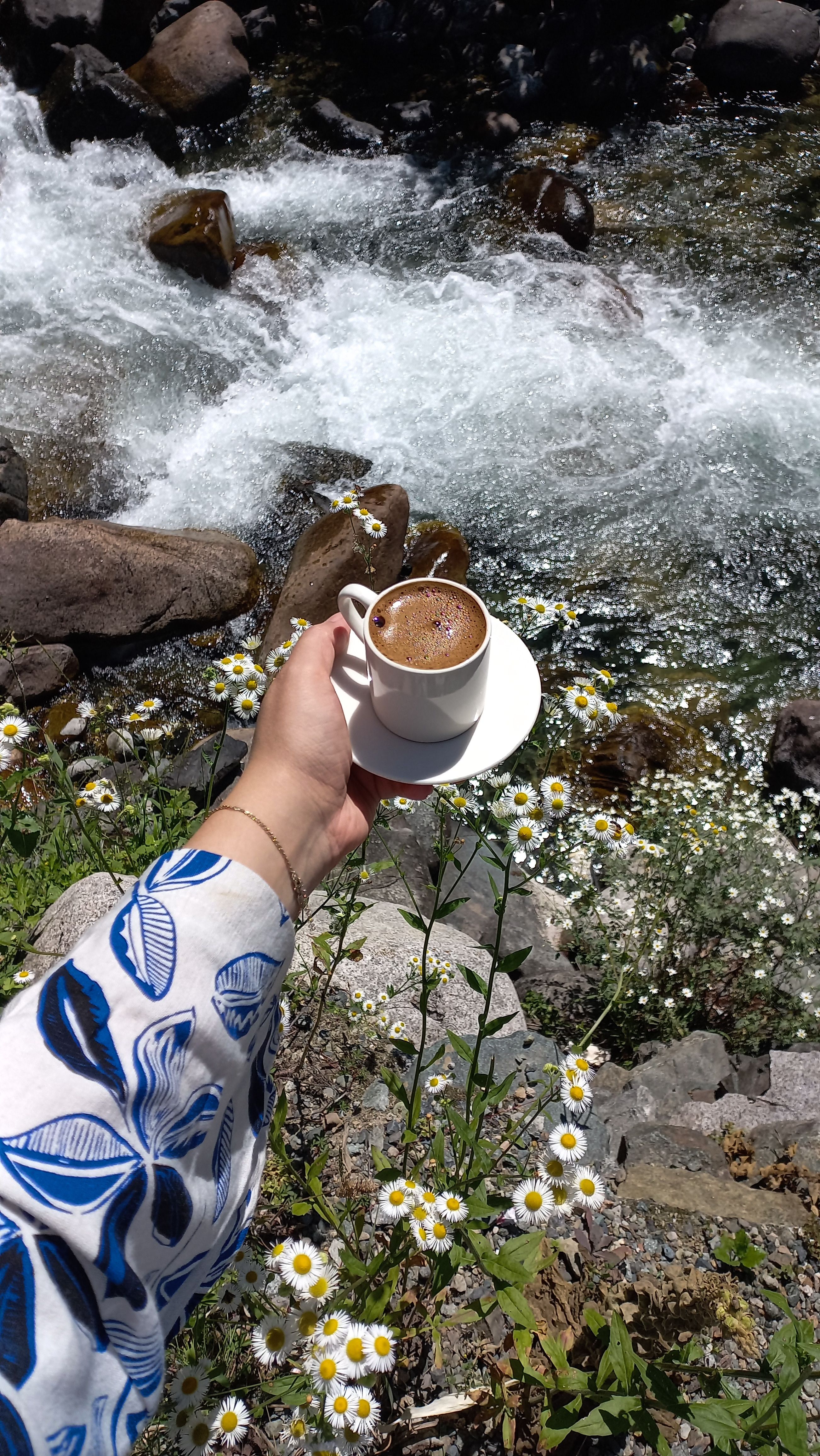 Hand holding coffee cup near a mountain stream surrounded by daisies.