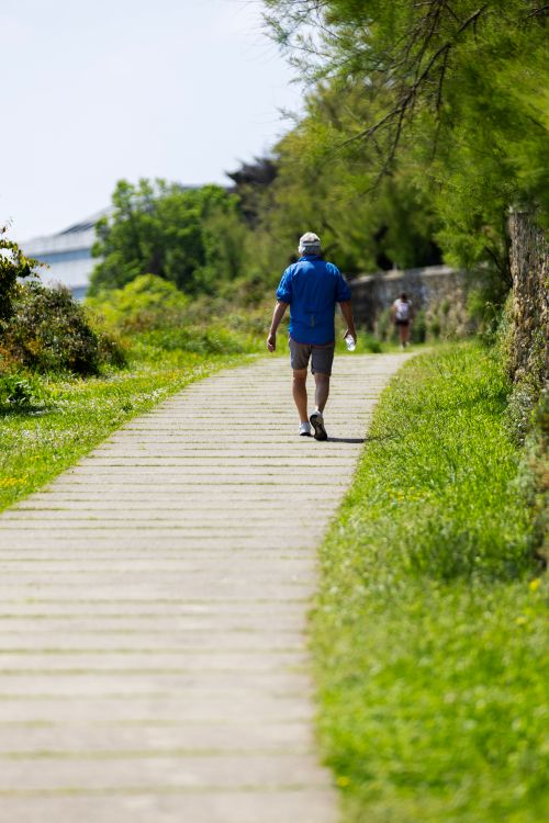 Man Walking on Scenic Green Pathway Outdoors · Free Stock Photo