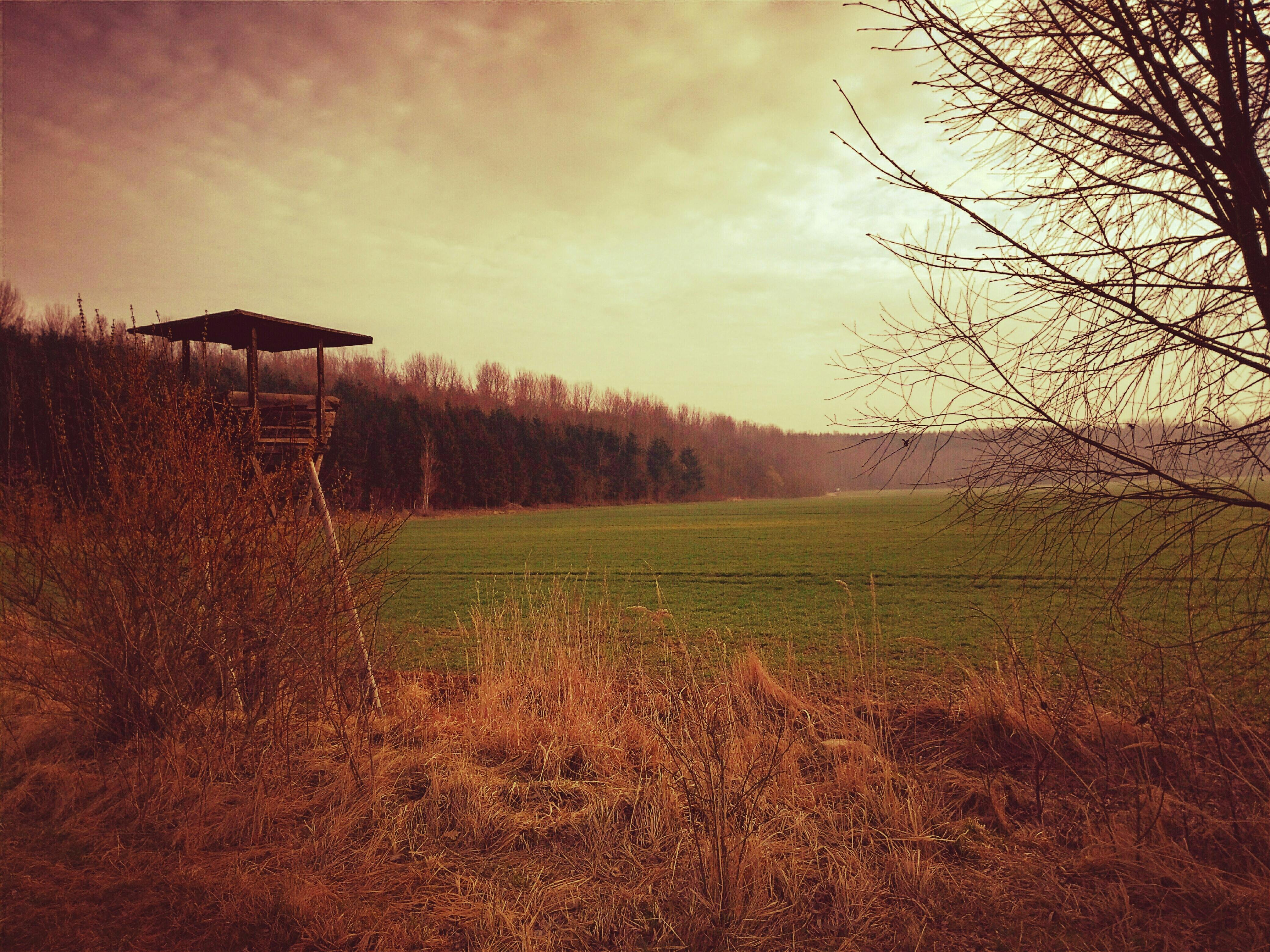 So sánh hai lựa chọn