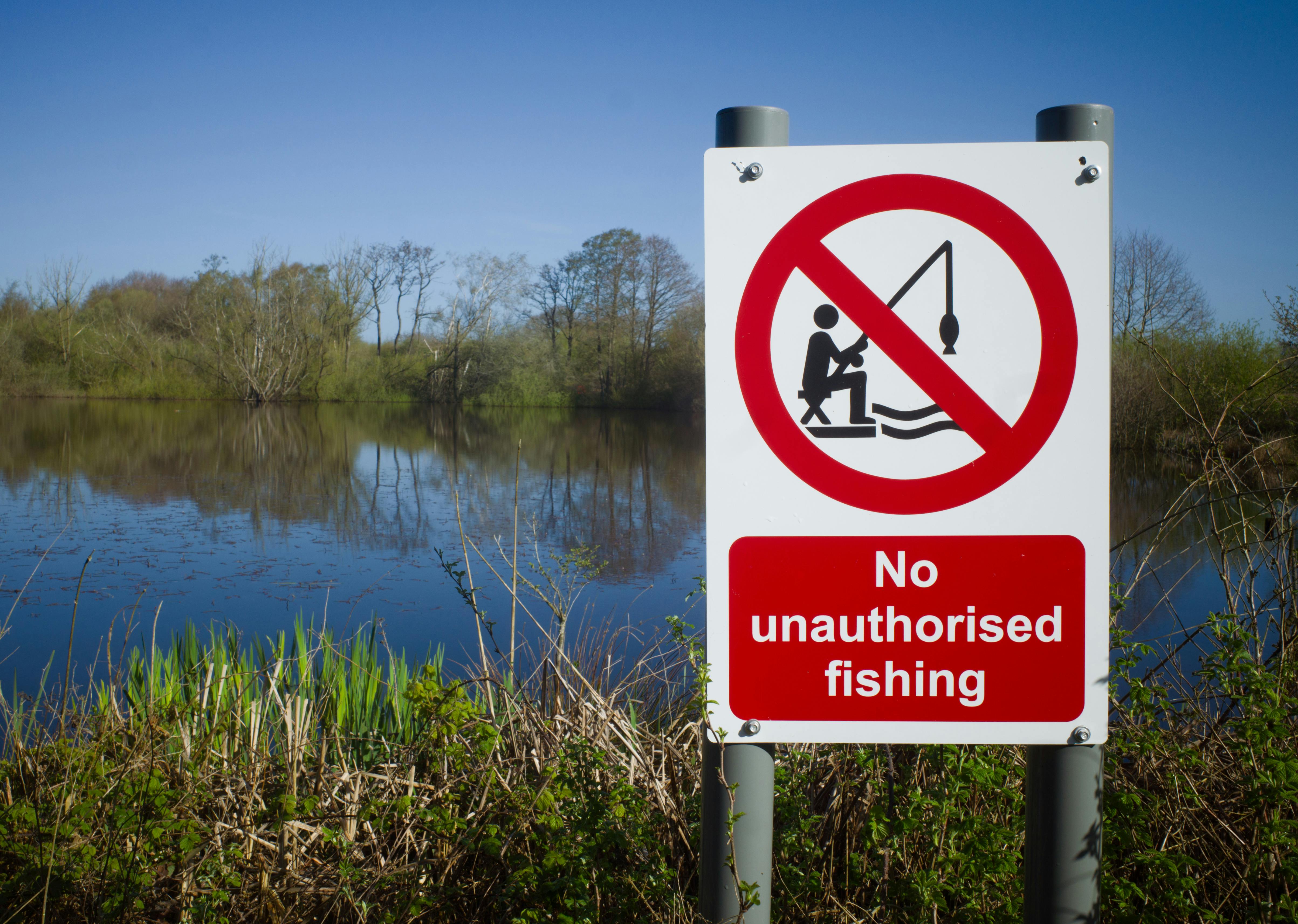 policy explainers regulation — Photo by James Thomas on Pexels