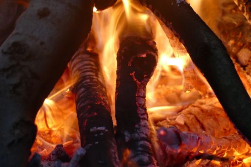Free A captivating close-up shot of burning logs with vibrant flames in a campfire setting. Stock Photo