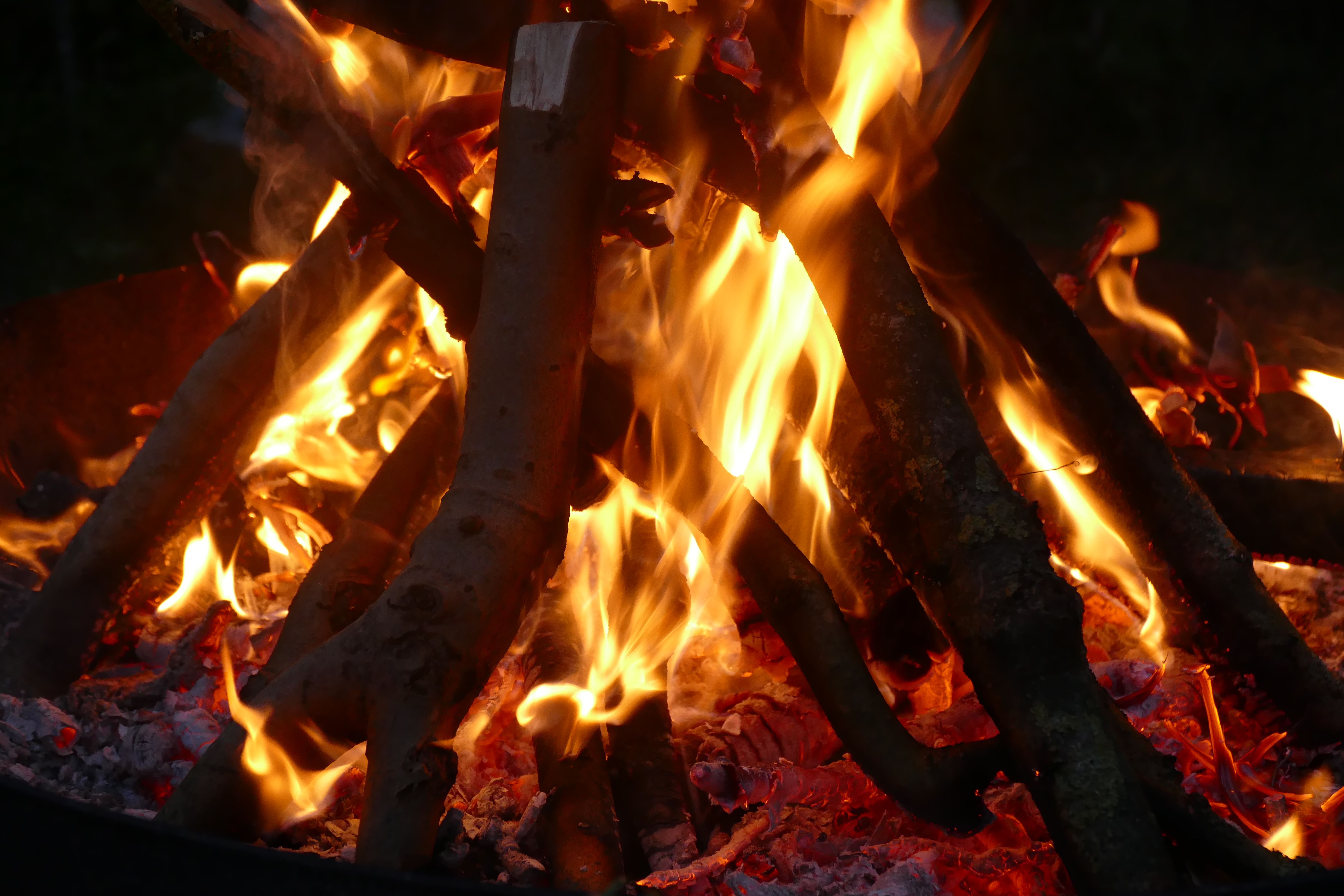Burning Wood on a Fire Pit · Free Stock Photo